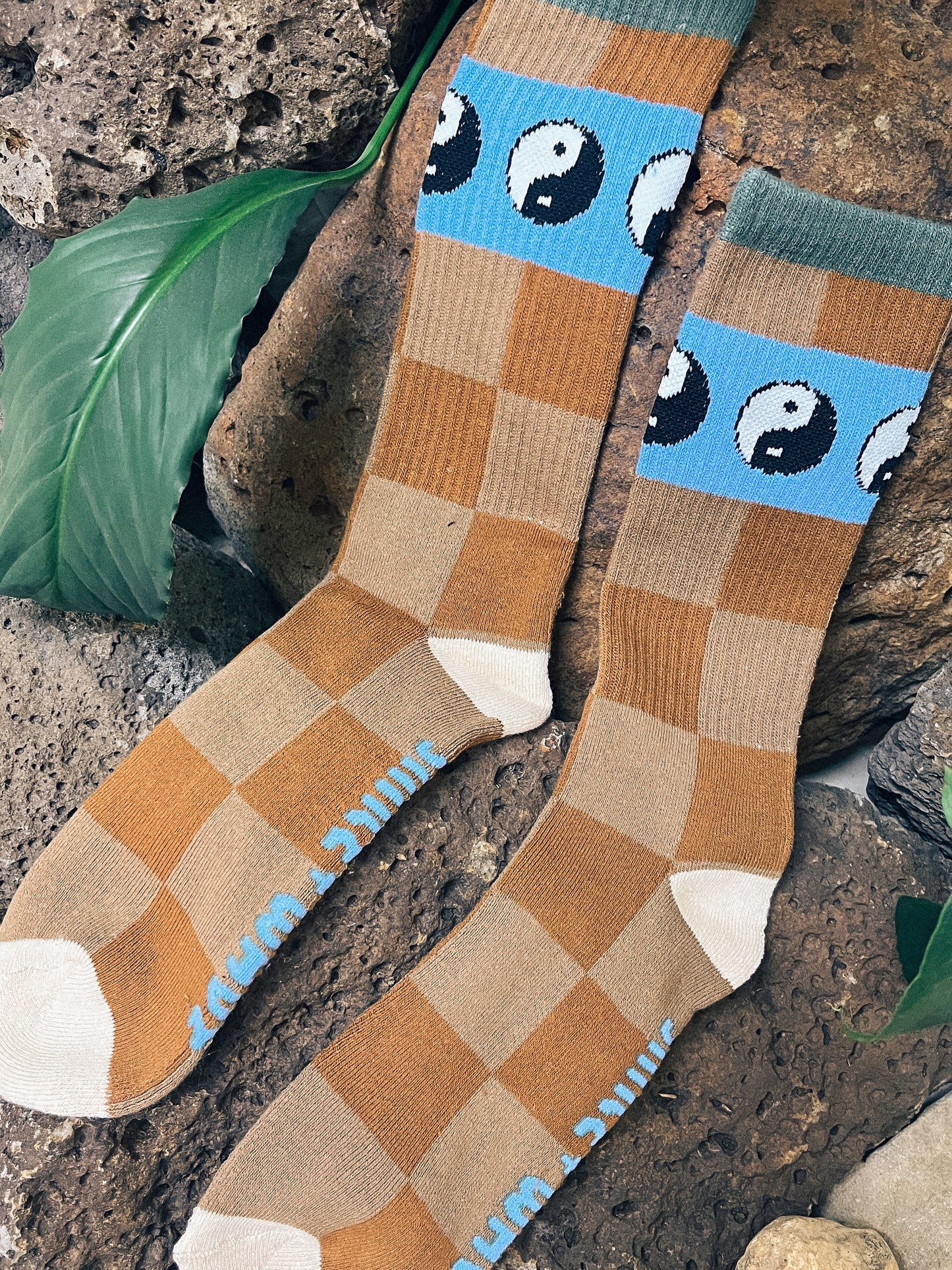 Pasco Socks