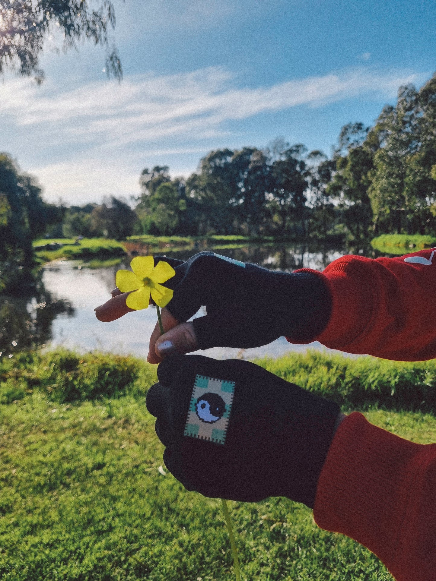 Balance Fingerless Gloves