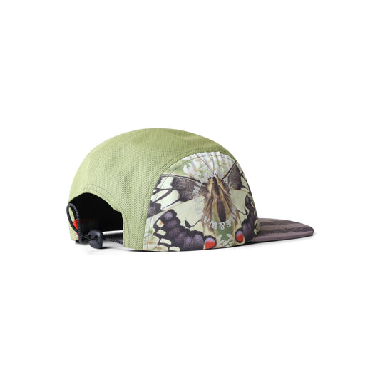 Papilio 5 Panel Cap