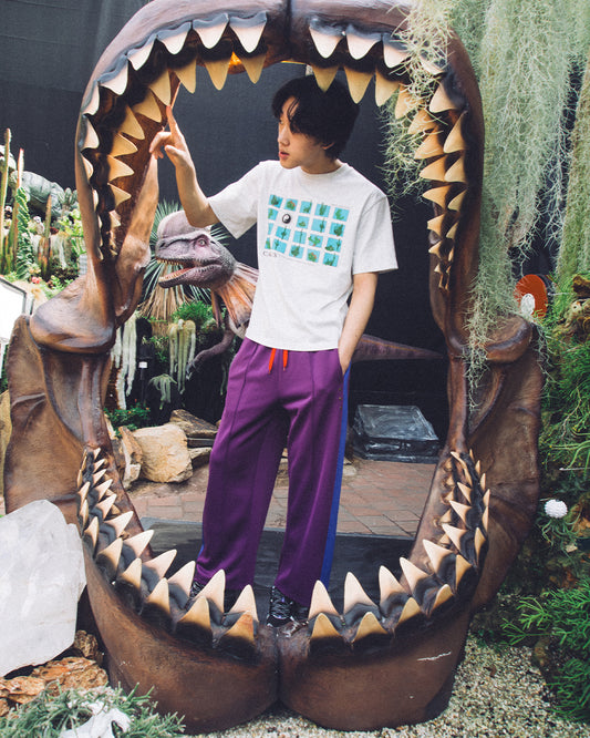 Cactus Study Tshirt - Ash