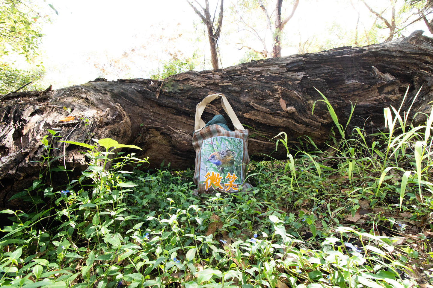Bird Patch Tote Bag