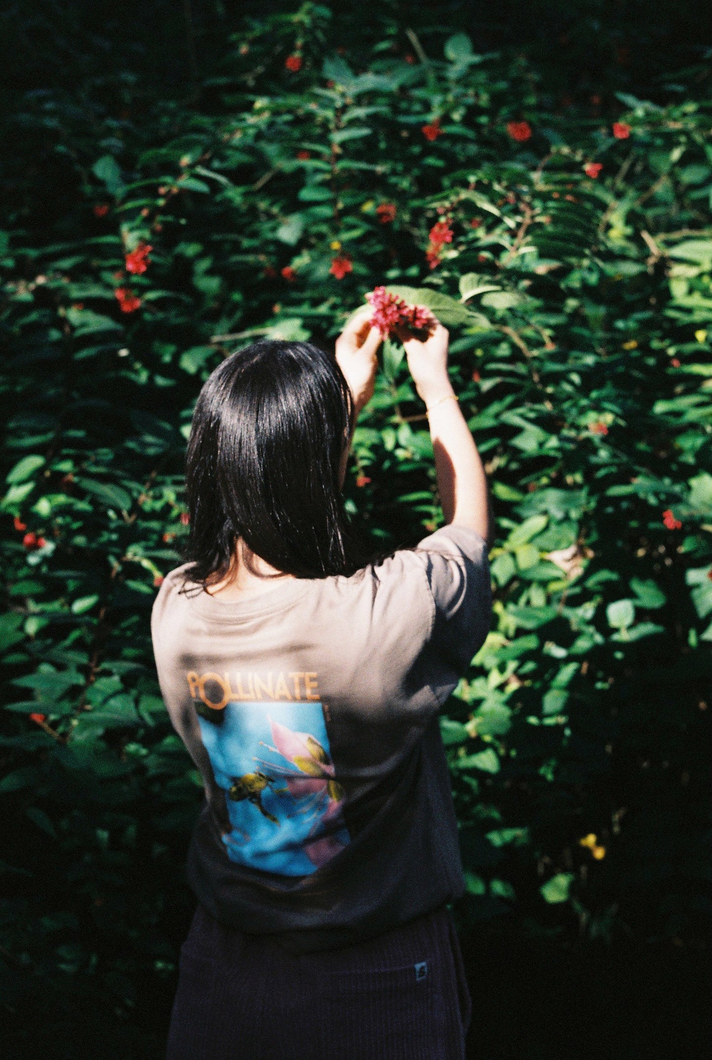 Pollinate Tshirt
