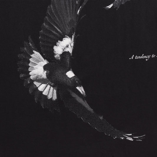 Swoop Tshirt