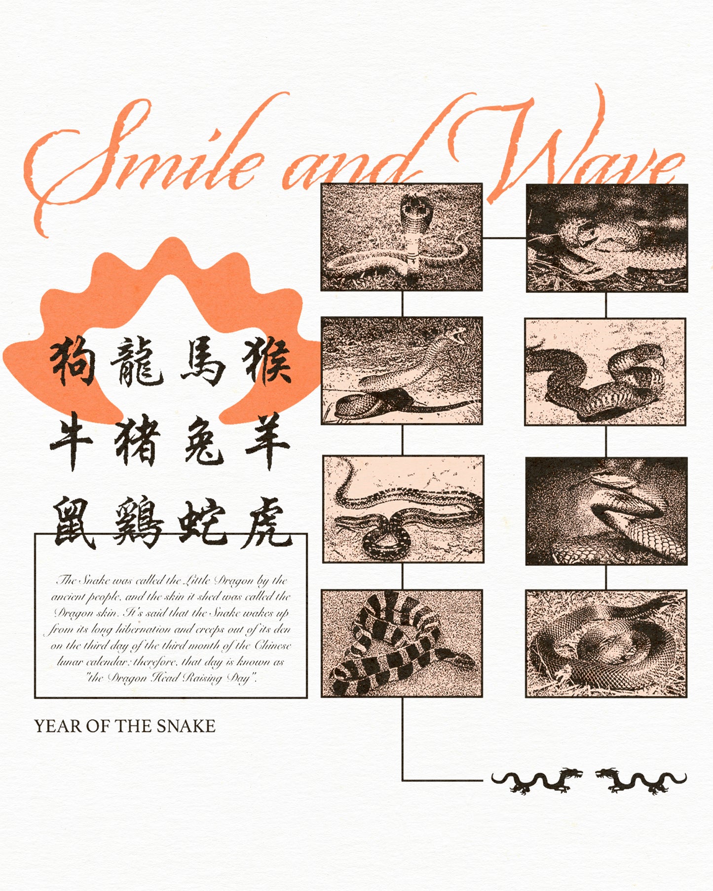 Year of the Snake Tshirt