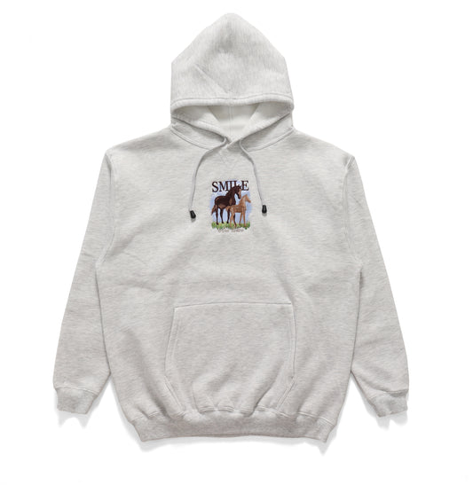 Horsing Around Hoody