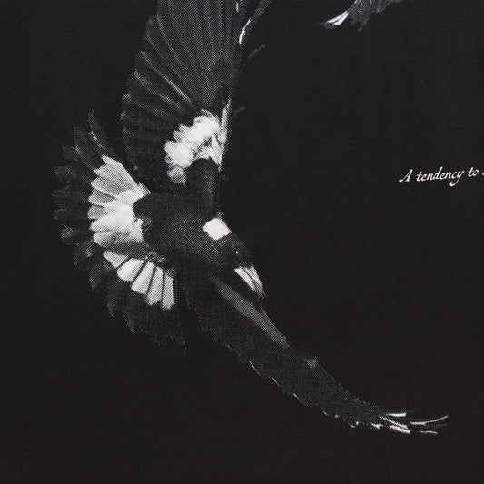 Swoop Tshirt